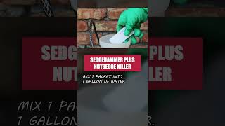 Get Rid of Nutsedges and Other Weeds with Sedgehammer Plus [upl. by Asir]