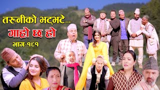 तरुनीको भट्भटे II Garo Chha Ho II Episode 181 II Dec 18 2023 II Begam Nepali II Riyasha Dahal [upl. by Prima]