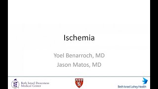 Session 3 Ischemia [upl. by Yalcrab]