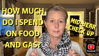 MIDYEAR BUDGET REVIEW HOW MUCH HAVE I SPENT ON GAS AND FOOD [upl. by Ycnalc142]