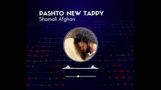 Pashto New Sad Tappy 2024 Shamali Afghan [upl. by Rexanna328]