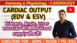 Cardiac Output Stroke Volume End systolic amp End diastolic volumes Ejection Fraction [upl. by Hasile]