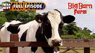 Big Barn Farm  Season 1 Episode 15  Recycling Proficiency Test [upl. by Nerrag]