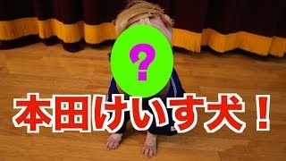 【顔面激似！】本田圭佑激似の本田けいす犬の超正確フリーキック！（78） [upl. by Ahsineg]