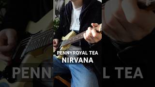 Nirvana  Pennyroyal Tea guitar cover [upl. by Kcirdle]