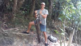 Crazy amazonie fishing saut lucifer 111213 nov 2016 sur petit saut guyane francaise [upl. by Alset686]