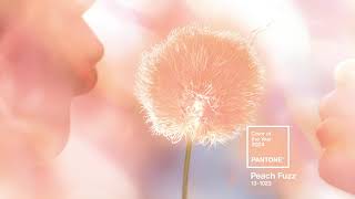 PANTONE 131023 Peach Fuzz the Pantone Color of the Year 2024 [upl. by Tilda490]