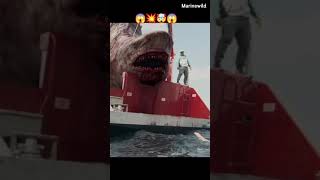 Great Meg shark 🦈 attack 😱 whiteshark short [upl. by Naugal]