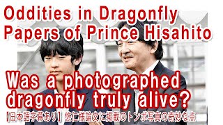 Prince Hisahito would do it with no guilt  Prince who lost peoples trust [upl. by Fassold]