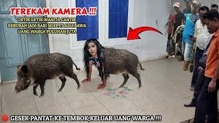 🔴 VIRAL  DETIKDETIK WANITA CANTIK BERUBAH JADI BABI NGEPETSAAT MASUK RUMAH WARGA [upl. by Anegal]