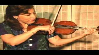 Violin Lesson  Theory  The D Flat Major Scale [upl. by Adriell]