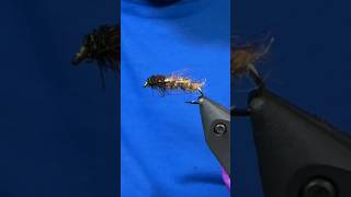 Kamloops Caddis Pupa Fly Pattern Fly Tying Tutorial flytying Caddisfly stillwaterflypatterns [upl. by Len68]