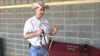 Understanding Horse Bits A Complete Guide [upl. by Marcelle776]