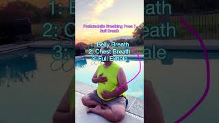 Fix your diaphragm with Sufi Breath breathwork [upl. by Eirahcaz180]