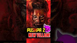 Pushpa 3 New Villain 👿  shorts [upl. by Kristyn]