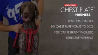 EzyDog Chest Plate Harness  Fitting Guide [upl. by Gellman387]