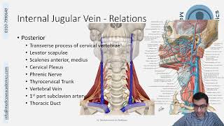 Veins of Head amp Neck [upl. by Sorilda637]