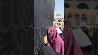 Ya Rab Main Gunahgar Hoon🤲ytshorts islamicvideo shortvideo islamic [upl. by Enileuqaj88]