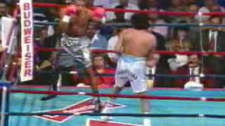 Roy jones vs Jorge Locomotora Castro [upl. by Alyal89]