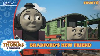 Bradfords New Friend  Tales of Thomas Shorts [upl. by Aitnis479]