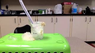 Hydrogen Peroxide and Yeast experiment [upl. by Alletniuq]