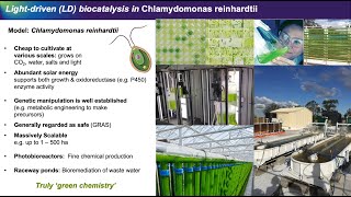 Webinar 5 Sustainable bioreactors for biocatalysis using photosynthetic organisms [upl. by Prakash616]