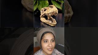 Can you guess the skeleton tamallureaction reactionvideo guessinggame shortsfeed viral [upl. by Adlay229]