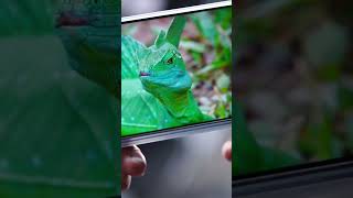 Moto G64 quot4K HDR issuequot Full review 👇 [upl. by Aile]