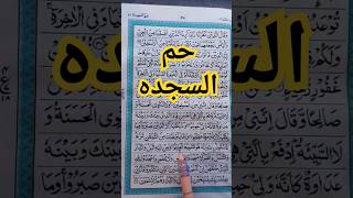 Surah ha meem sajda سورۃ حم السجدہ islamicstatus islamicshorts tilawatsurat shortsfeed [upl. by Mw431]