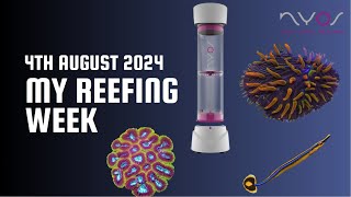 My Reefing week 4th August 2024 Im ill [upl. by Ttayh]