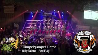 Lismerball 2017 — Tümpelgumper Linthal  Billy Talent  Red Flag [upl. by Cyril984]