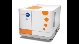 Jess Training Your Protein Analysis Solution For Automated Western Blots [upl. by Eisoj]