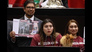 12112024 Intervención desde tribuna de la Dip Zayra Linette Fernández Sarabia [upl. by Yelnet219]