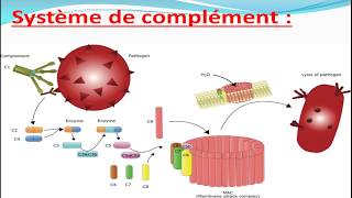 Cours dImmunologie [upl. by Nieberg]