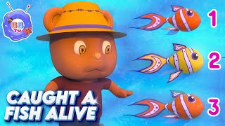 ONCE I CAUGHT A FISH ALIVE  BBTVKIDS Nursery Rhymes amp Kids Songs countingsongs nurseryrhymes [upl. by Albertson]