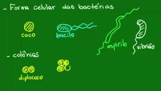 Formas da célula bacteriana  Diversidade dos Seres Vivos  Biologia [upl. by Nallac681]