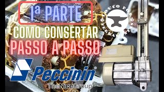 COMO CONSERTAR MOTOR DE PORTÃO  PECCININ BASCULANTE PARTE 1 [upl. by Ynohtnaleahcim]