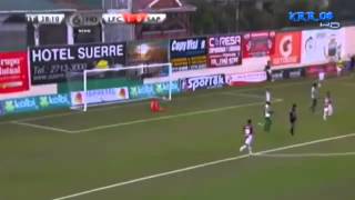 Todos los Goles de Saprissa Torneo de Verano 2014 ¡¡Campeón Nacional [upl. by Whiffen]