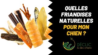 Quelles friandises naturelles pour mon chien nourri au cru [upl. by Adolphe]