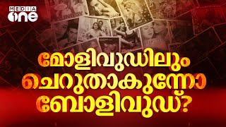 ഈ വര്‍ഷം പതറിയോ ബോളിവുഡ്  Bollywood 2024  kill  Fighter Hindi Movie nmp [upl. by Akined741]