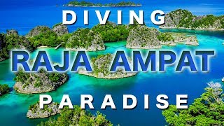 Diving Raja Ampat Discover the dive sites of The Last Paradise with a GoPro Hero 7 [upl. by Kizzie51]