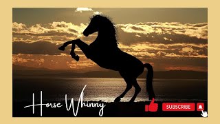 10 Minutes Of Horse Whinny Sound [upl. by Luehrmann]