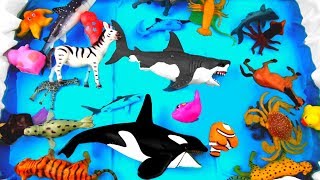 Wild Zoo Animal Toys For Kids  Learn Different Animal Names [upl. by Burnie]