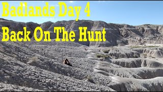 Badlands Fossil Hunting Day 4 Back on the hunt thefinders fossil badlands bones [upl. by Llenor]