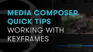 Media Composer Quick Tips Working with Keyframes [upl. by Nirehtak]