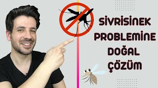 Sivrisinek Sorununa Kesin Çözüm  Doğal Sivrisinek Kovucu Yapımı [upl. by Cohette9]