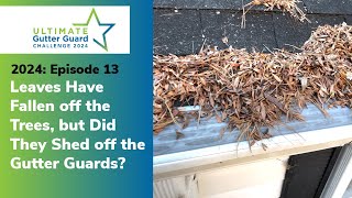 Leaves Have Fallen off the Trees but Did They Shed off the Gutter Guards 2024 EP13 [upl. by Denis520]