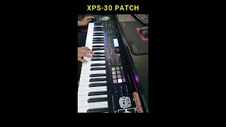 Xps30 Patches 101 [upl. by Dralliw]