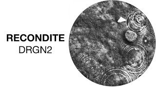 Recondite  DRGN2 HFT035 Official Audio [upl. by Gilford]