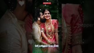 Best Tamil Love WhatsApp Status  Tamil WhatsApp Status Videos [upl. by Enoob]